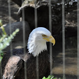 DSC_0408.JPG