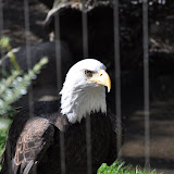 DSC_0410.JPG