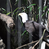 DSC_0413.JPG