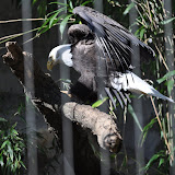 DSC_0415.JPG
