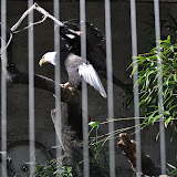 DSC_0420.JPG