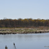 DSC_0428.JPG