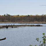 DSC_0433.JPG