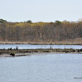 DSC_0434.JPG