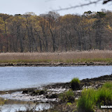 DSC_0436.JPG