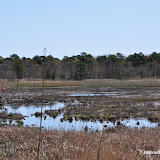 DSC_0451.JPG