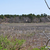 DSC_0453.JPG