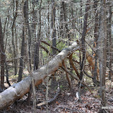 DSC_0458.JPG