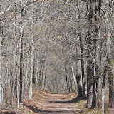 DSC_0464.JPG