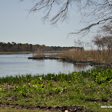 DSC_0482.JPG