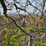 DSC_0483.JPG