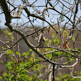 DSC_0486.JPG