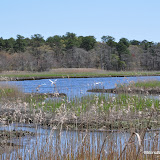 DSC_0563.JPG