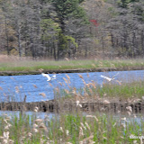 DSC_0565.JPG