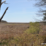 DSC_0590.JPG