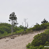 DSC_0555.JPG
