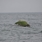 DSC_0561.JPG