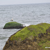 DSC_0712.JPG
