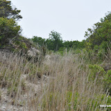 DSC_0637.JPG