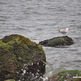 DSC_0654.JPG