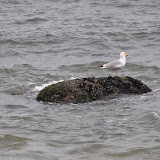 DSC_0665.JPG
