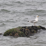 DSC_0680.JPG