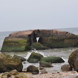 DSC_0719.JPG