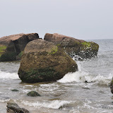 DSC_0733.JPG