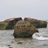 DSC_0739.JPG