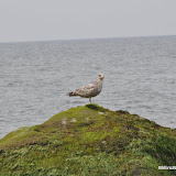 DSC_0753.JPG