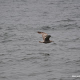 DSC_0763.JPG