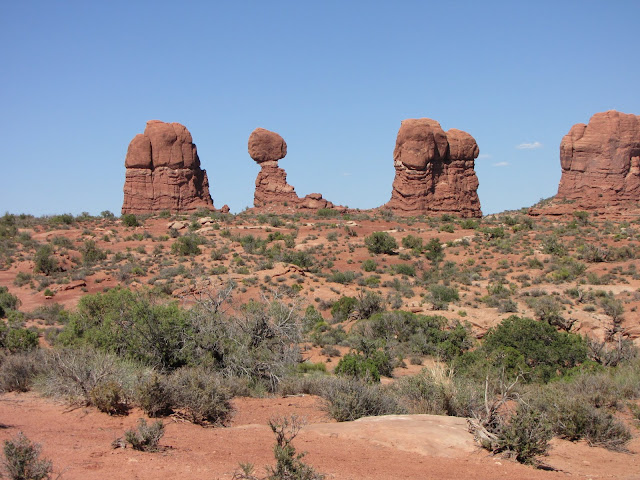 IMG_3474.JPG