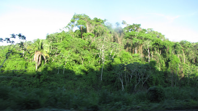 IMG_4645.JPG