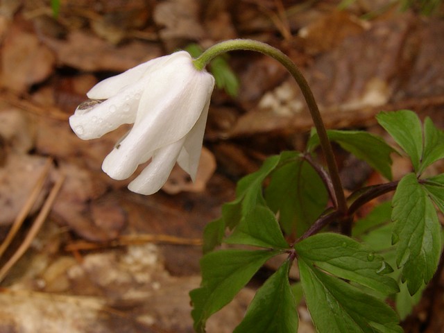 P4111894.JPG