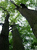 P5205248.JPG