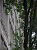 P6200420.JPG