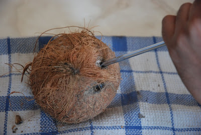 Poking out coconut eyes