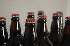 Intro to Brewing Beer