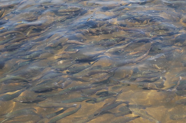[2010_08150298[2].jpg]
