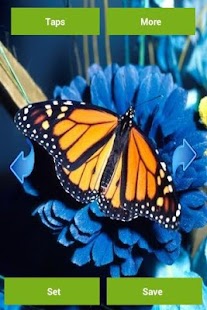 How to download Butterflies Wallpapers lastet apk for bluestacks