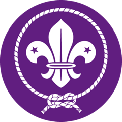 300px-Logo_scout_WOSM