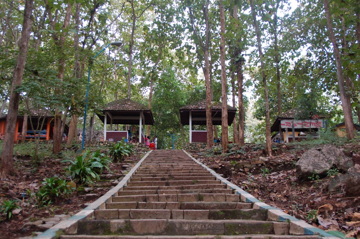 [DSC_2795_resize[4].jpg]