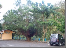 Goa Lowo (65)