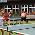 Palec Open 2010