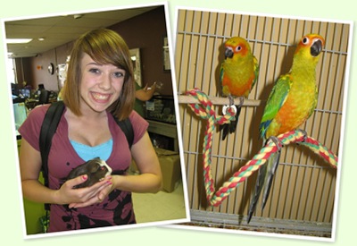 View pet shop2