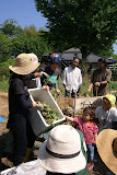 DSC08158.JPG
