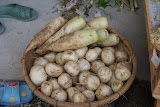 DSC08028.JPG