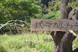 DSC08050.JPG