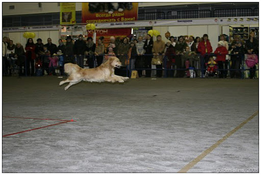 _MG_9766.jpg