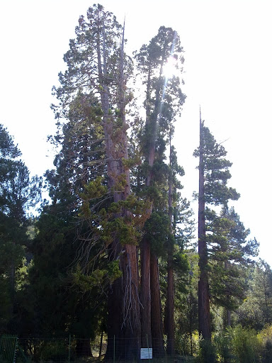 24102010029.jpg